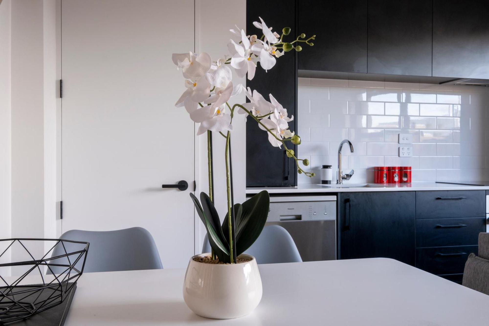 Luxury 2 Bed Townhome In Cbd Christchurch Kültér fotó