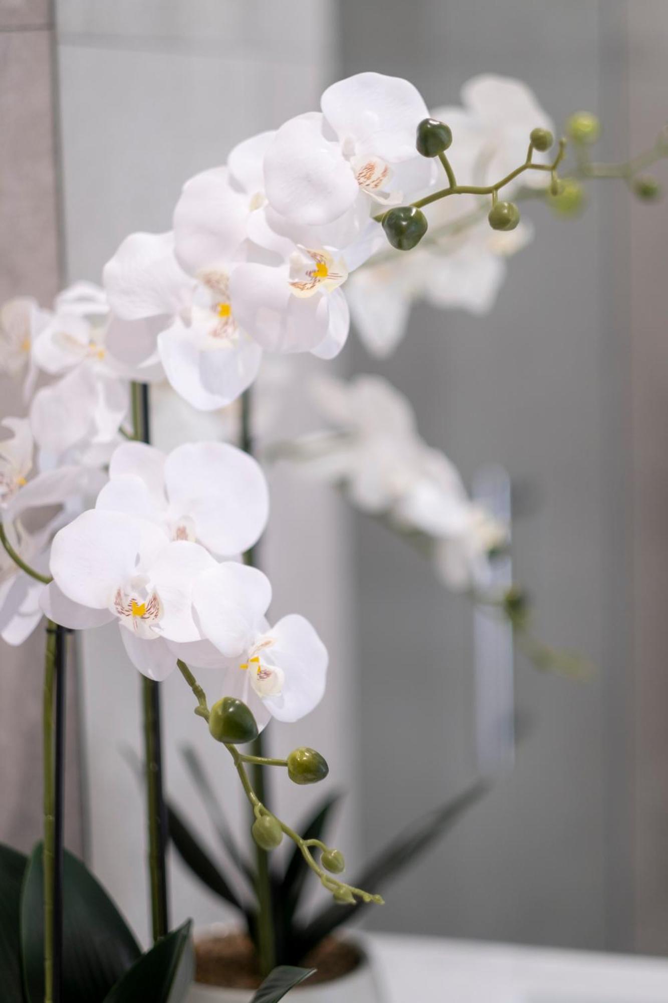Luxury 2 Bed Townhome In Cbd Christchurch Kültér fotó